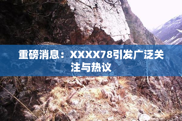 重磅消息：XXXX78引发广泛关注与热议