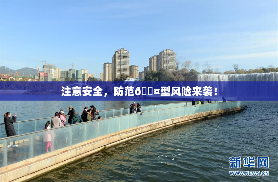 注意安全，防范🐤型风险来袭！