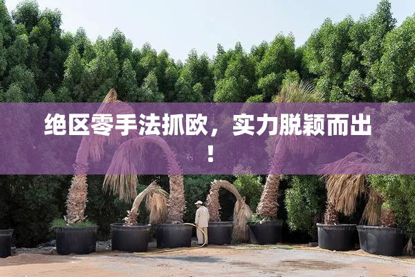 绝区零手法抓欧，实力脱颖而出！