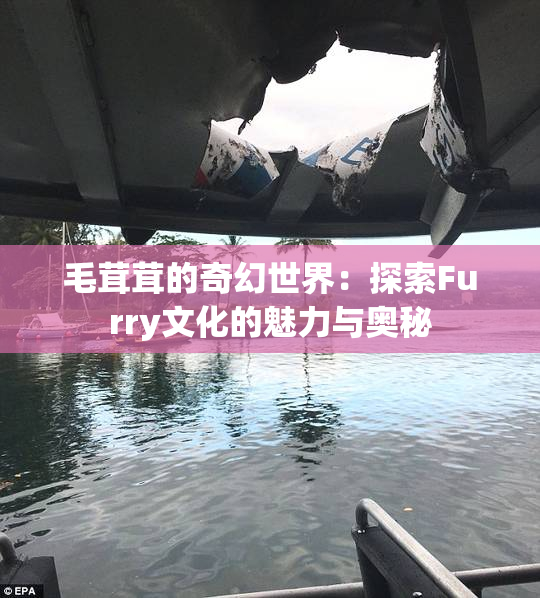 毛茸茸的奇幻世界：探索Furry文化的魅力与奥秘