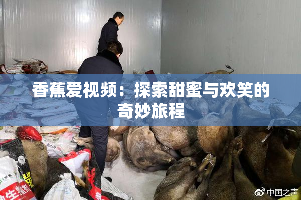香蕉爱视频：探索甜蜜与欢笑的奇妙旅程