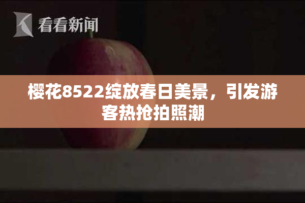 樱花8522绽放春日美景，引发游客热抢拍照潮