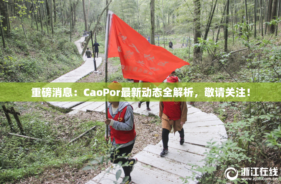 重磅消息：CaoPor最新动态全解析，敬请关注！