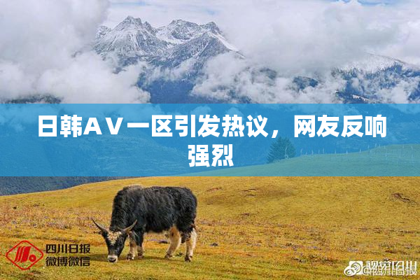 日韩AⅤ一区引发热议，网友反响强烈