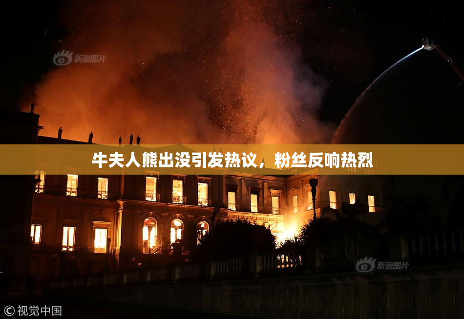 牛夫人熊出没引发热议，粉丝反响热烈