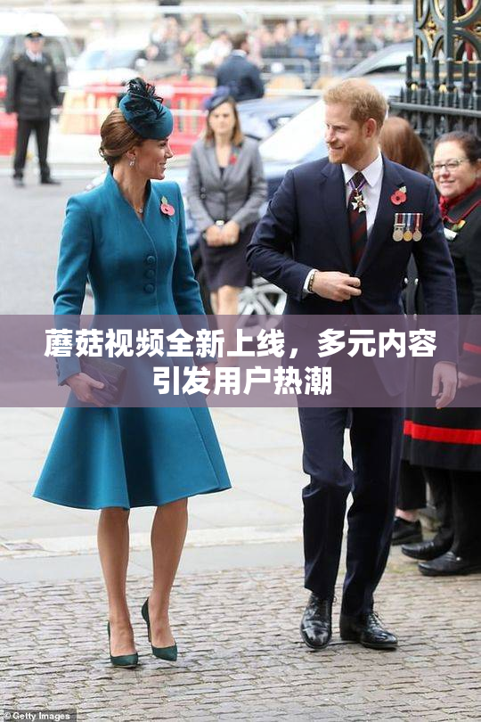 蘑菇视频全新上线，多元内容引发用户热潮