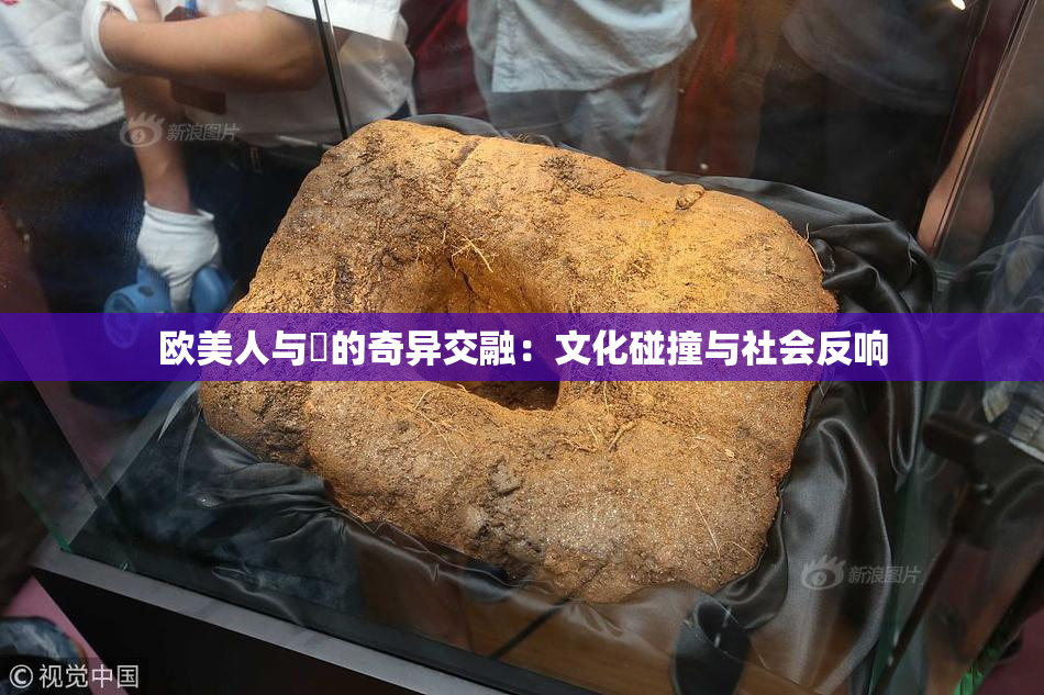 欧美人与嘼的奇异交融：文化碰撞与社会反响
