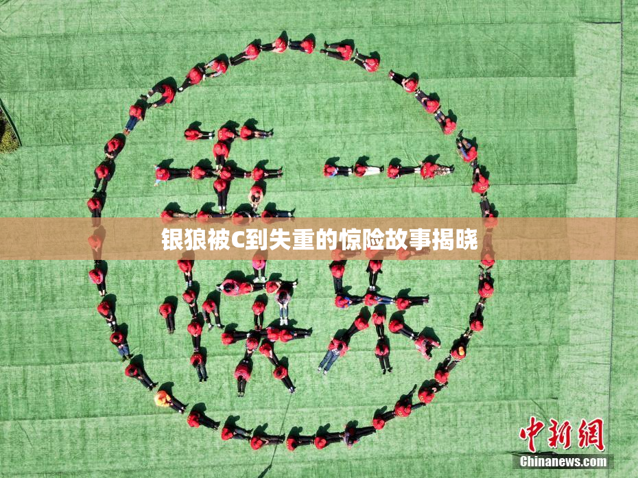 银狼被C到失重的惊险故事揭晓