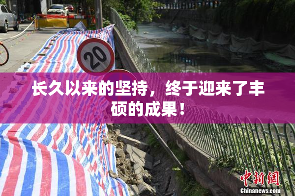 长久以来的坚持，终于迎来了丰硕的成果！