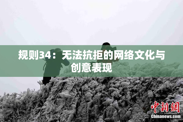 规则34：无法抗拒的网络文化与创意表现