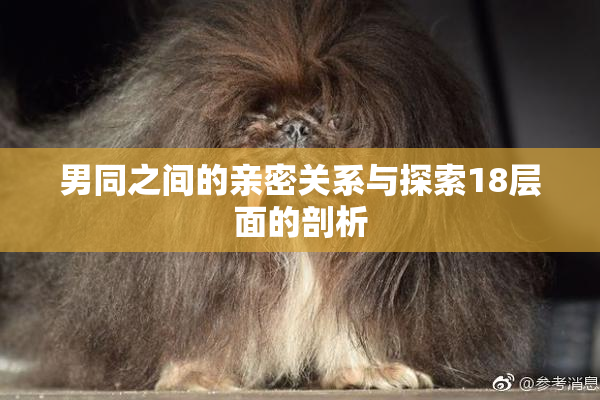 男同之间的亲密关系与探索18层面的剖析