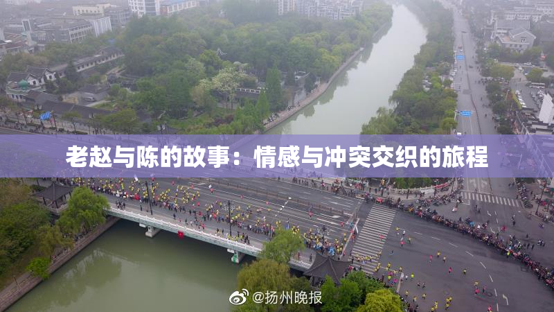 老赵与陈的故事：情感与冲突交织的旅程
