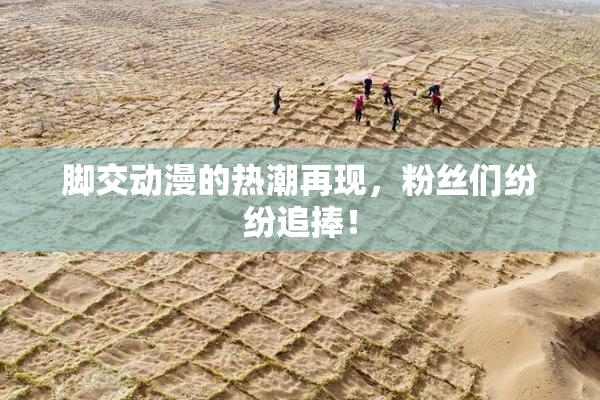 脚交动漫的热潮再现，粉丝们纷纷追捧！