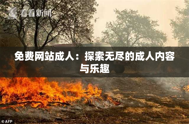 免费网站成人：探索无尽的成人内容与乐趣
