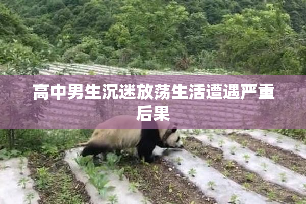 高中男生沉迷放荡生活遭遇严重后果