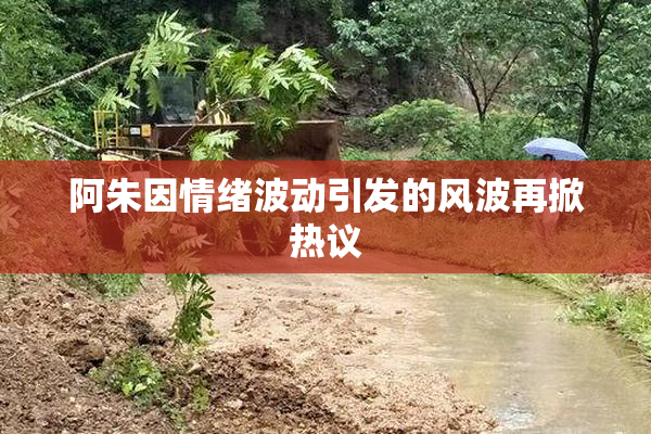 阿朱因情绪波动引发的风波再掀热议