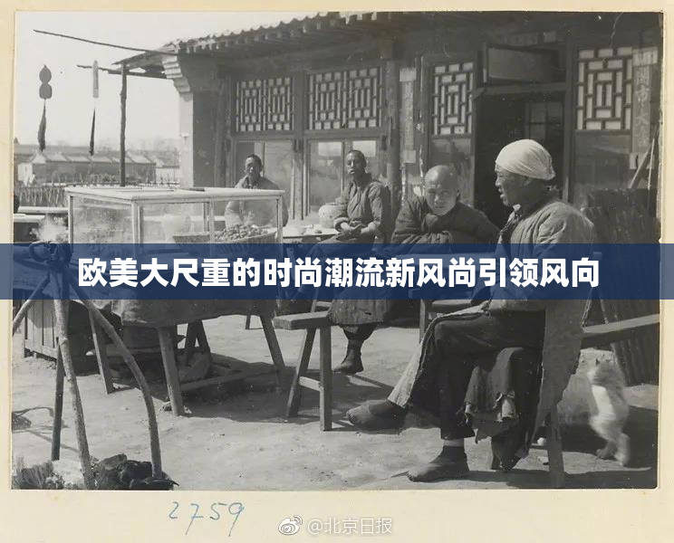 欧美大尺重的时尚潮流新风尚引领风向