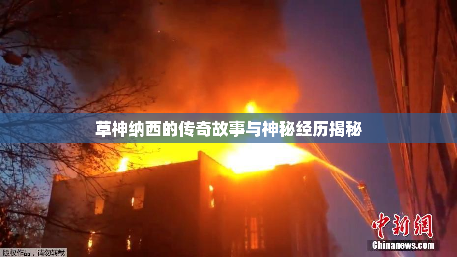 草神纳西的传奇故事与神秘经历揭秘