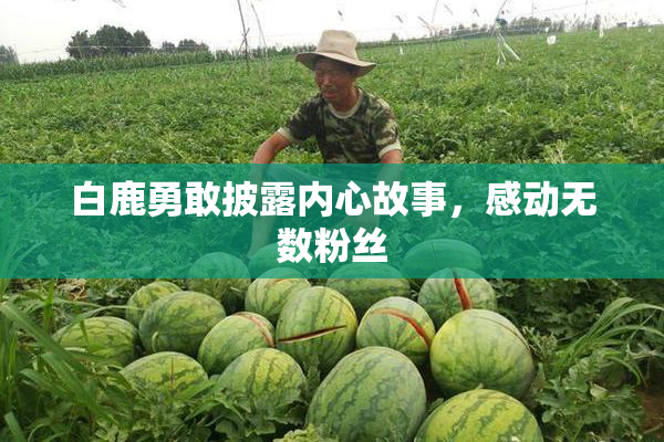 白鹿勇敢披露内心故事，感动无数粉丝