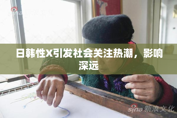 日韩性X引发社会关注热潮，影响深远