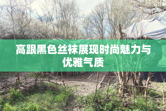 高跟黑色丝袜展现时尚魅力与优雅气质