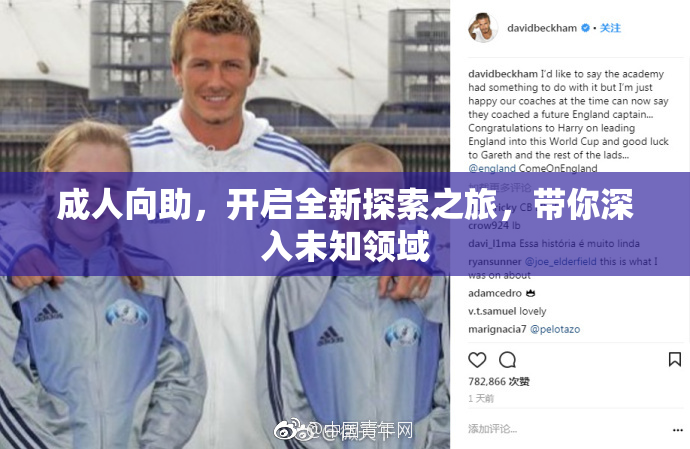 成人向助，开启全新探索之旅，带你深入未知领域