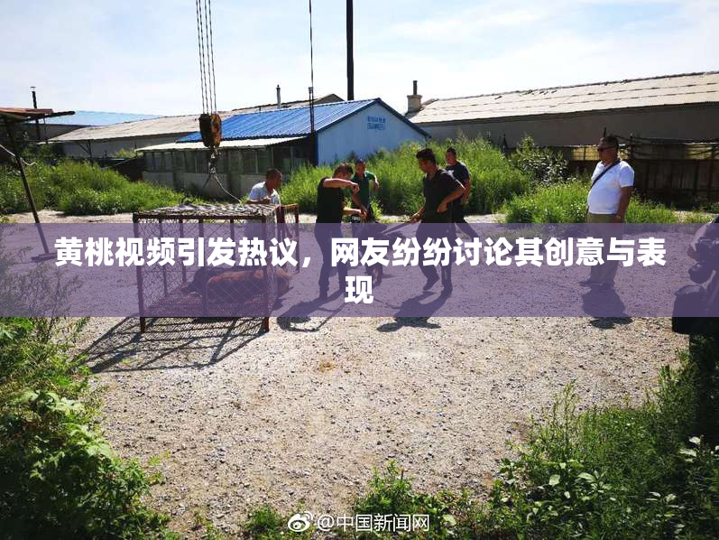 黄桃视频引发热议，网友纷纷讨论其创意与表现