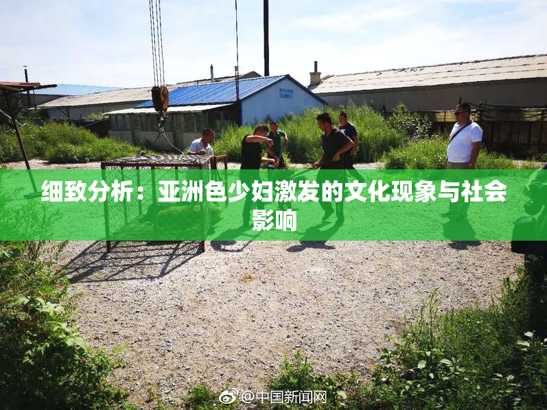 细致分析：亚洲色少妇激发的文化现象与社会影响