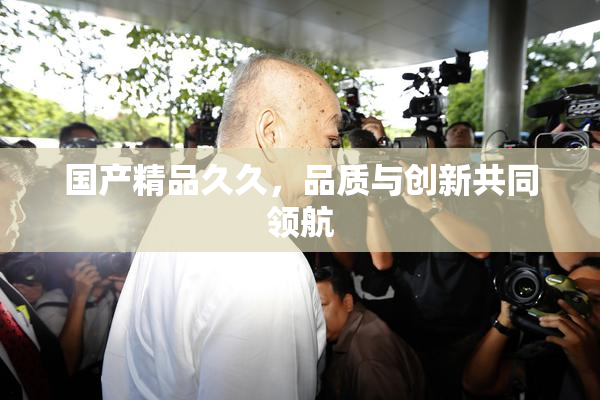 国产精品久久，品质与创新共同领航