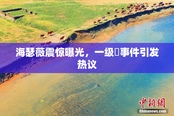 海瑟薇震惊曝光，一级婬事件引发热议