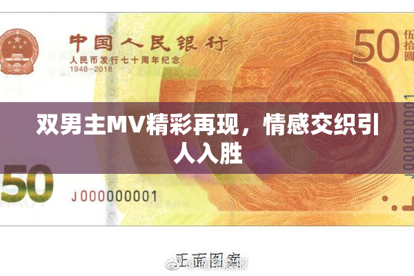 双男主MV精彩再现，情感交织引人入胜