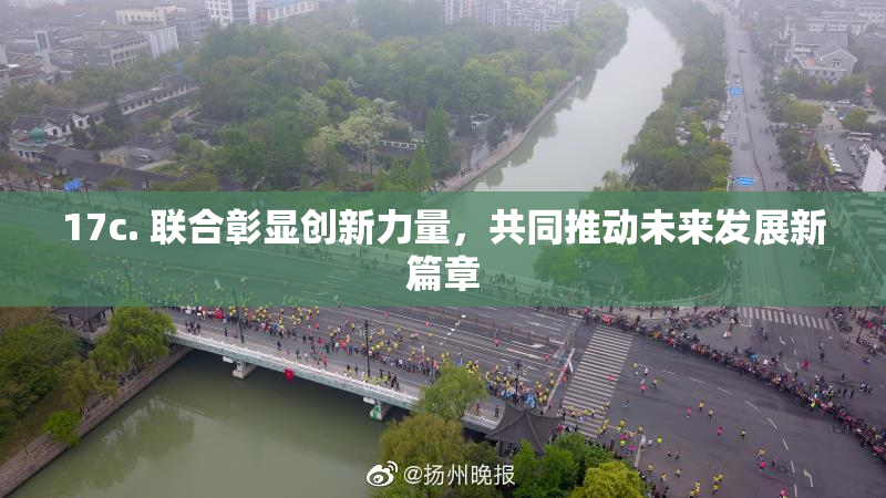 17c. 联合彰显创新力量，共同推动未来发展新篇章