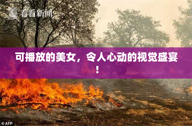 可播放的美女，令人心动的视觉盛宴！
