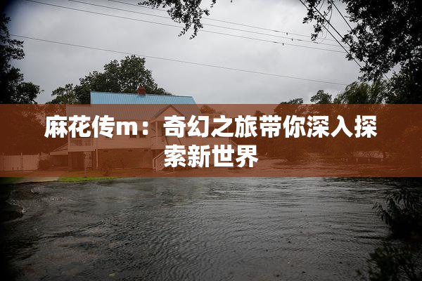 麻花传m：奇幻之旅带你深入探索新世界