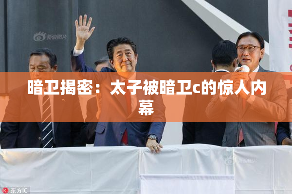 暗卫揭密：太子被暗卫c的惊人内幕