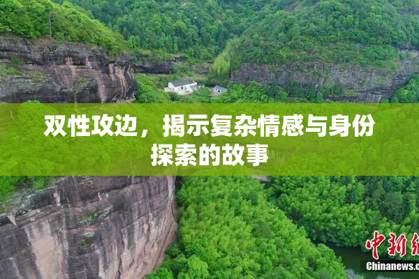 双性攻边，揭示复杂情感与身份探索的故事