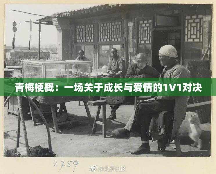青梅梗概：一场关于成长与爱情的1V1对决