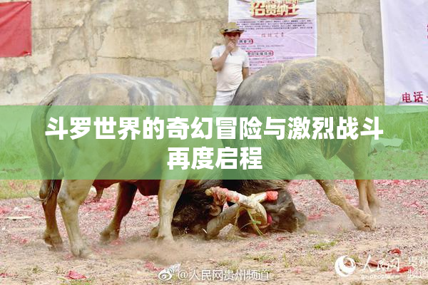 斗罗世界的奇幻冒险与激烈战斗再度启程