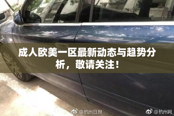 成人欧美一区最新动态与趋势分析，敬请关注！