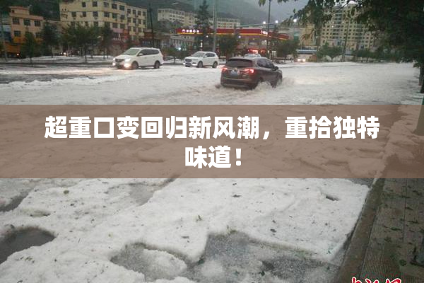 超重口变回归新风潮，重拾独特味道！