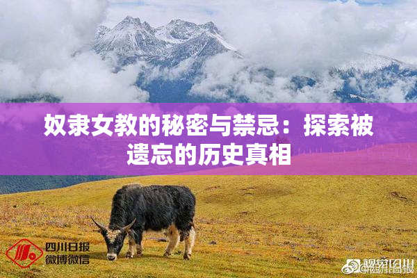 奴隶女教的秘密与禁忌：探索被遗忘的历史真相