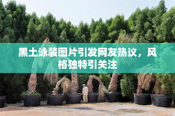 黑土泳装图片引发网友热议，风格独特引关注