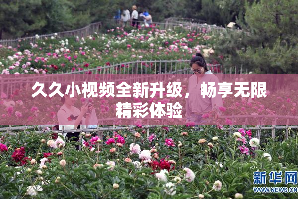 久久小视频全新升级，畅享无限精彩体验