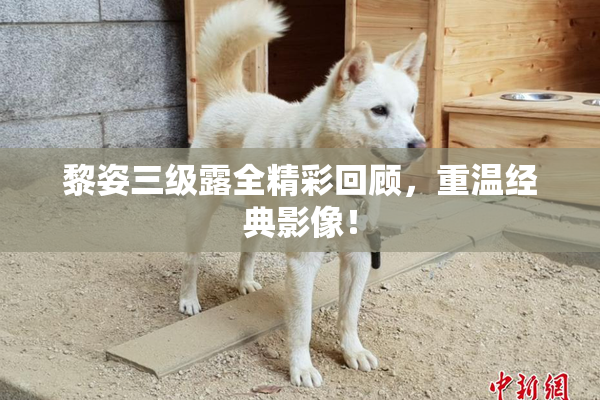 黎姿三级露全精彩回顾，重温经典影像！