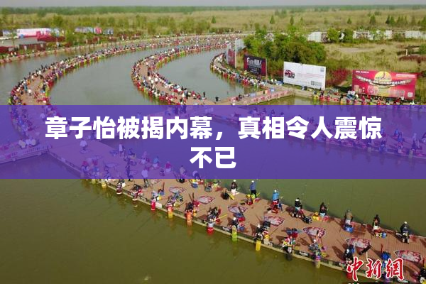 章子怡被揭内幕，真相令人震惊不已