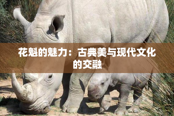 花魁的魅力：古典美与现代文化的交融