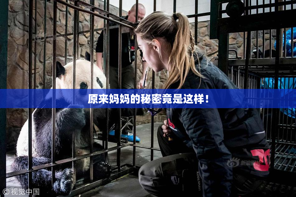 原来妈妈的秘密竟是这样！