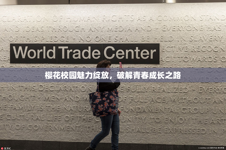樱花校园魅力绽放，破解青春成长之路