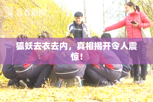 狐妖去衣去内，真相揭开令人震惊！