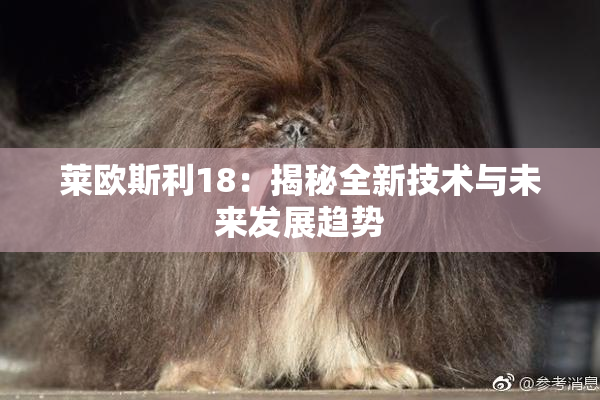 莱欧斯利18：揭秘全新技术与未来发展趋势
